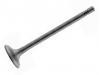 Exhaust Valve:030 109 611 T