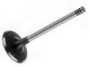 выпускной клапан Exhaust Valve:038 109 611 E