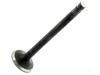 Exhaust Valve:13202-H6200