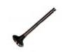 排气门 Exhaust Valve:LF01-12-121