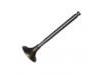 Exhaust Valve:13202-40L01